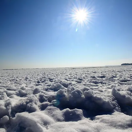 Sealodge Rügen Mit Gratis Sauna- Und Schwimmbadnutzung Im Ahoi Sellin